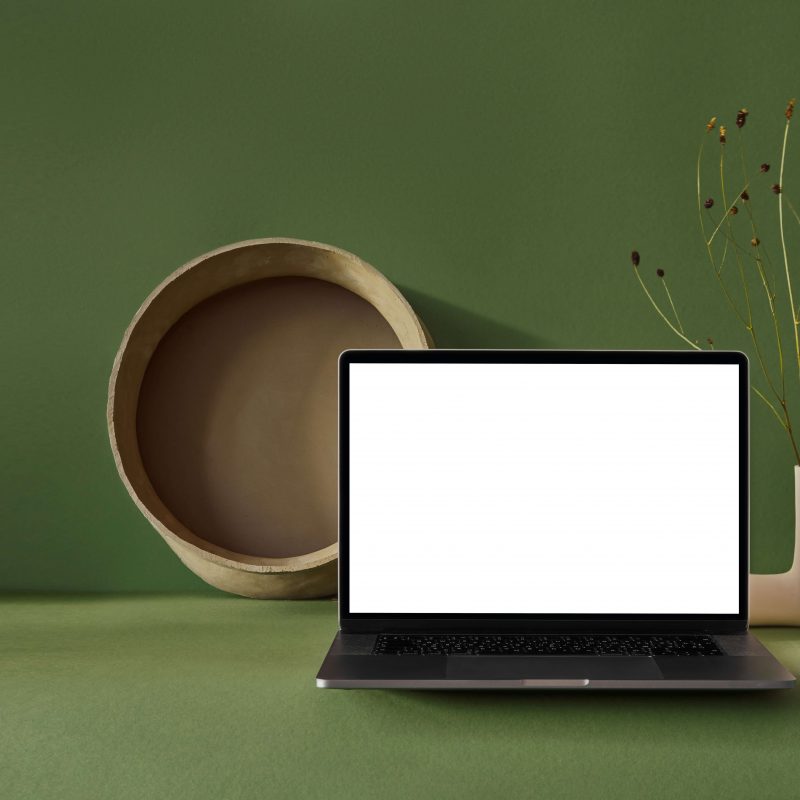 Digital Organization Tips - Laptop with a blank screen against an olive green background with various natural decor items