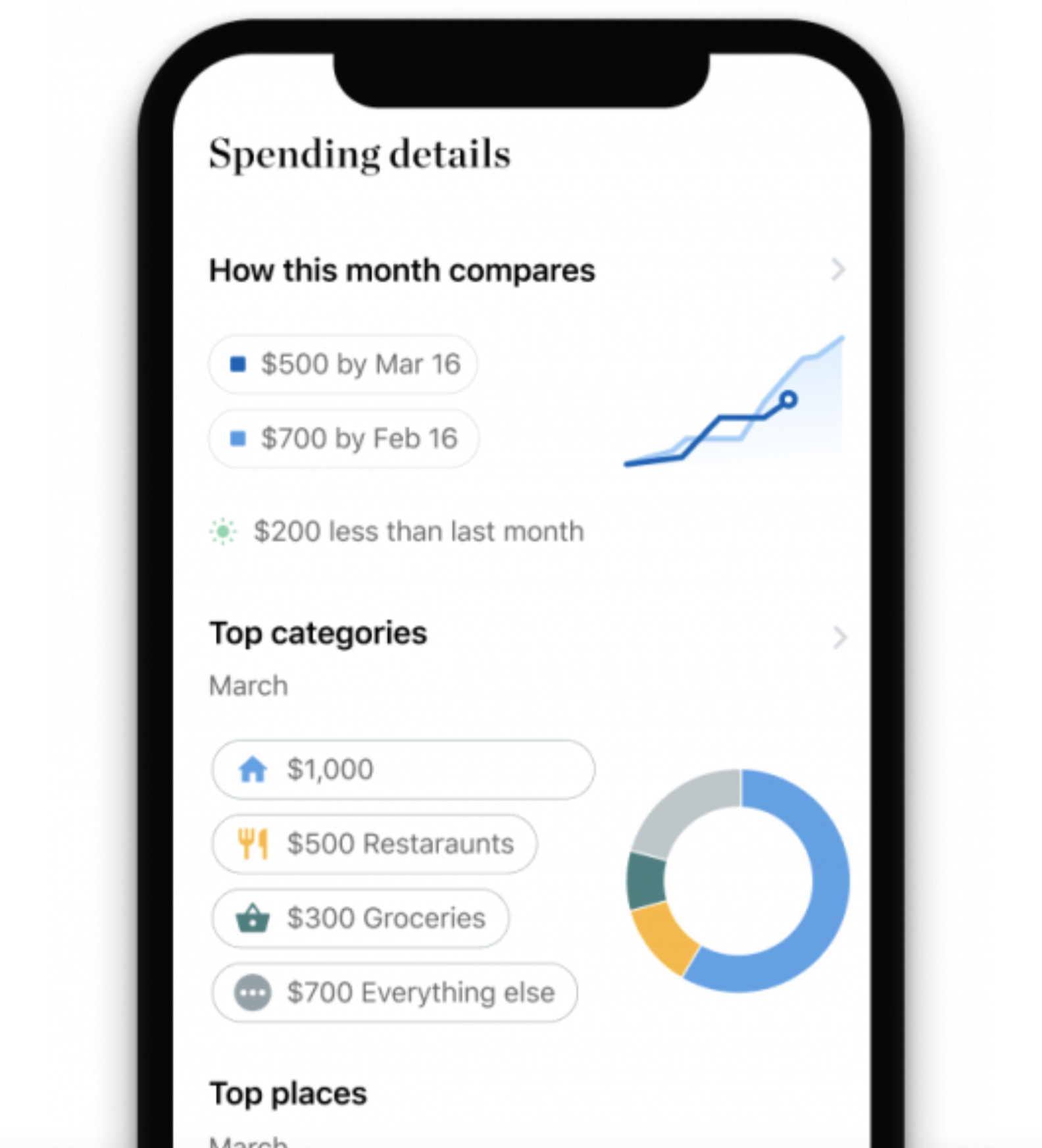 phone screen with spending details and charts