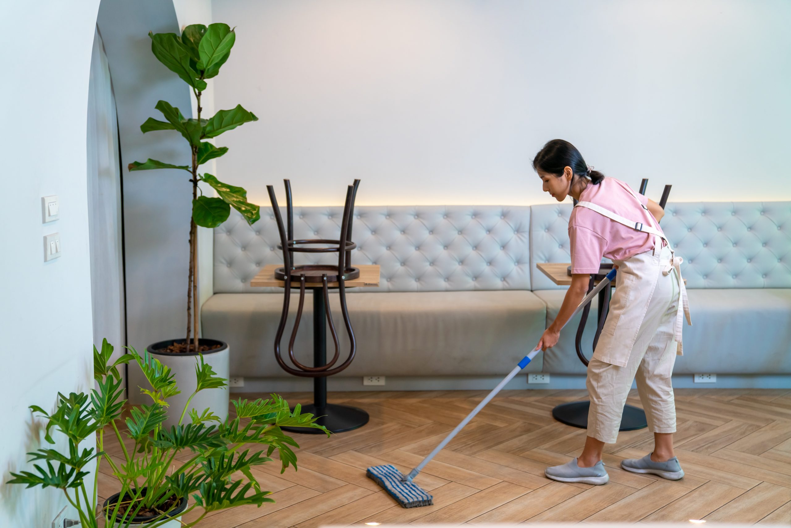 Young woman coffee shop barista cleaning cafe before openi